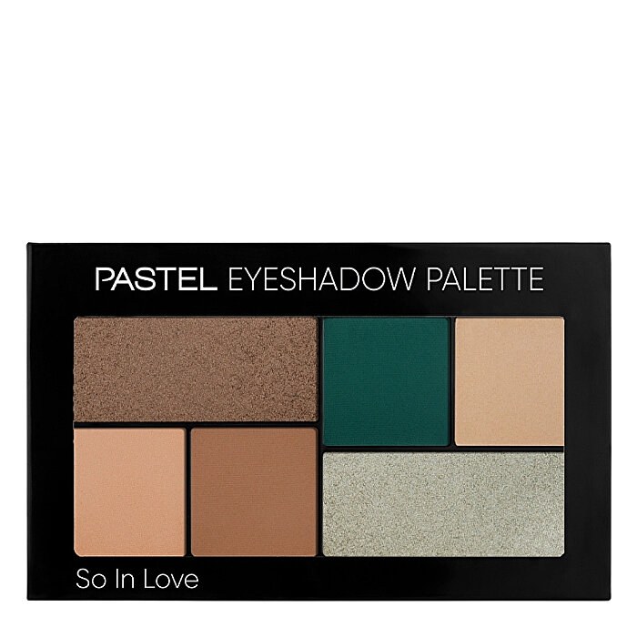 PASTEL PROF.6 LI EYESHADOW PALETTE 204
