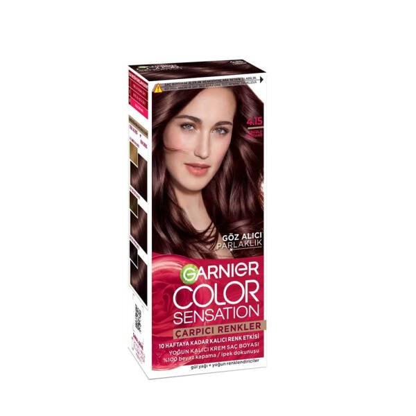 GARNIER ÇARPICI RENKLER 4,15 Buzlu kestane*9