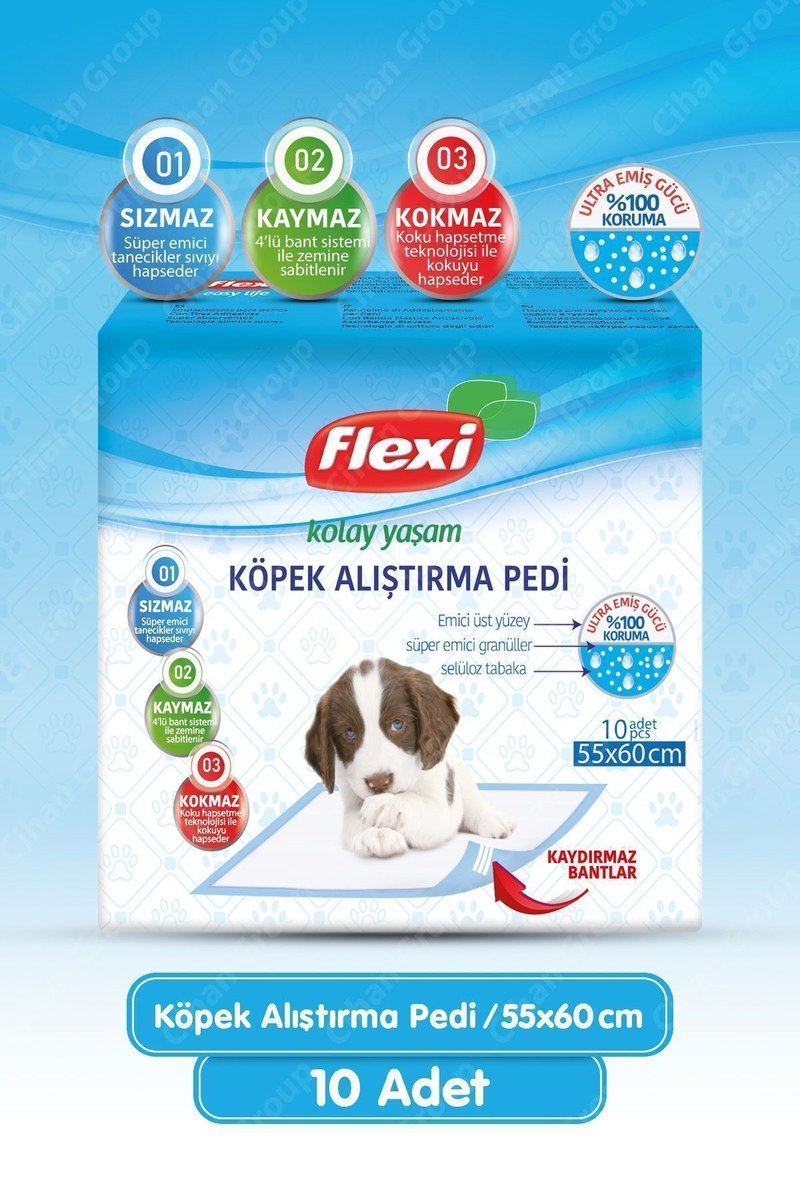 KÖPEK ALIŞTIRMA PEDİ